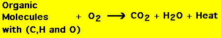 combustion reaction examples